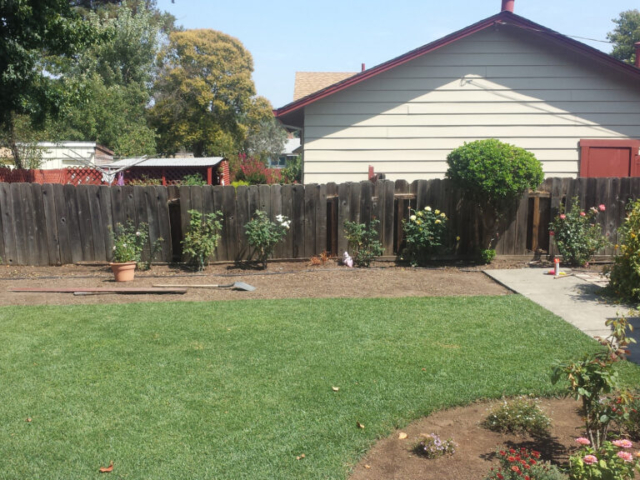 Before redwood fence